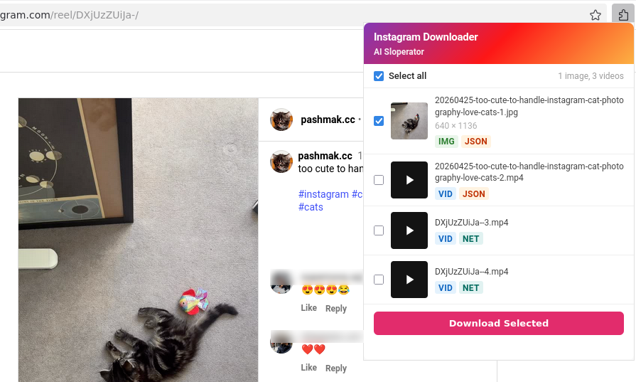 Firefox Instagram Downloader screenshot